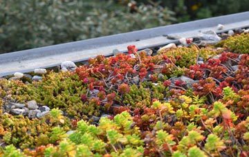the cost of Leonard Stanley green roof installation
