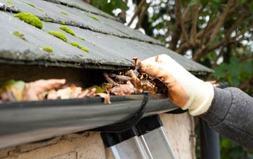 gutter cleaning Leonard Stanley, Gloucestershire