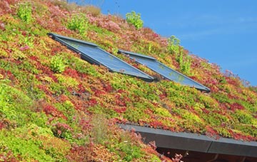 Leonard Stanley living roof systems