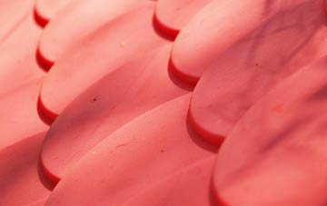 Leonard Stanley plastic roof costs