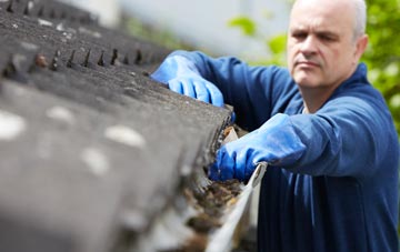 cleaning and inspecting Leonard Stanley roofs