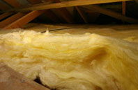 Leonard Stanley pitch roof insulation