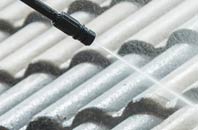 rated Leonard Stanley roof cleaning companies